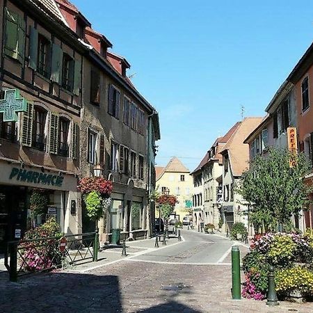 Studio L'Epicea Climatisation Sejour Parfait Soultz-Haut-Rhin Екстериор снимка