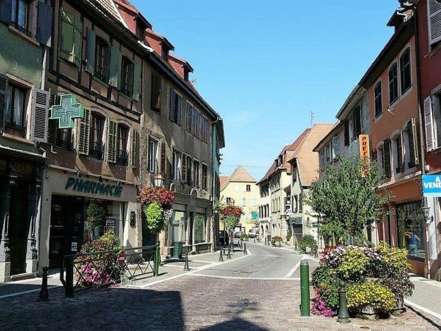 Studio L'Epicea Climatisation Sejour Parfait Soultz-Haut-Rhin Екстериор снимка